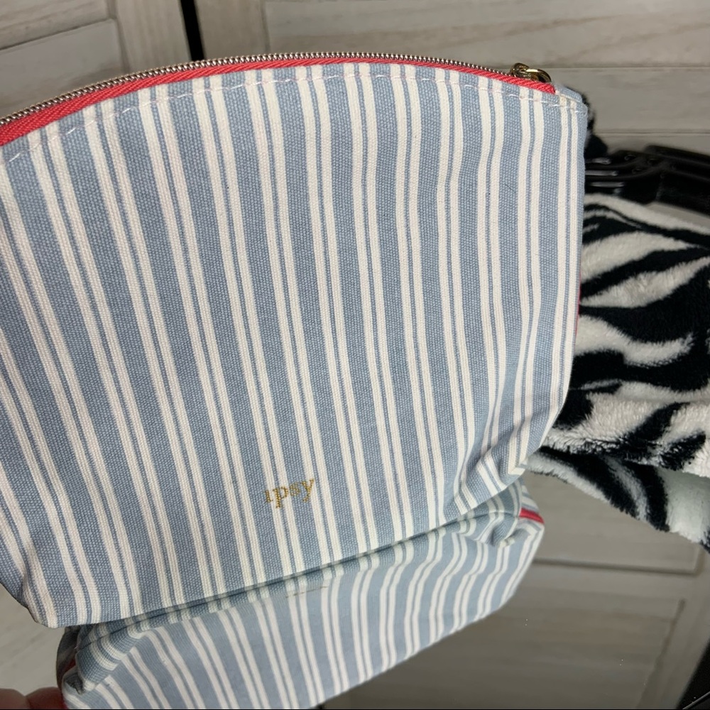 Ipsy Bag Striped Baby Blue and White with Pink Accents Mini Pouch Bag